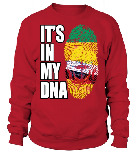 Gambian And Bruneian Mix Heritage DNA Flag Sweatshirt Unisex