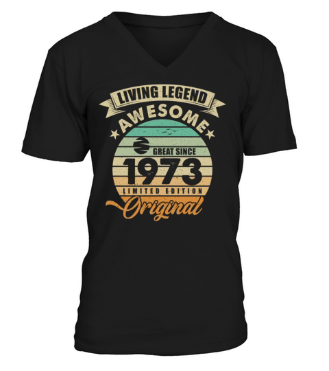 Vintaga 1973 Birthday V-Neck T-shirt